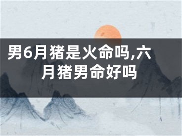 男6月猪是火命吗,六月猪男命好吗