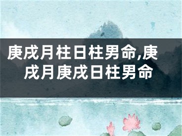 庚戌月柱日柱男命,庚戌月庚戌日柱男命