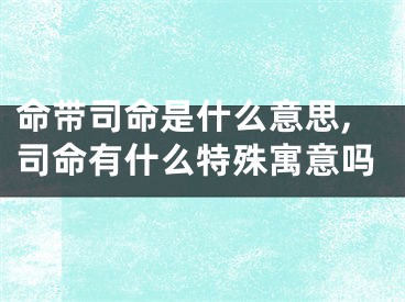 命带司命是什么意思,司命有什么特殊寓意吗