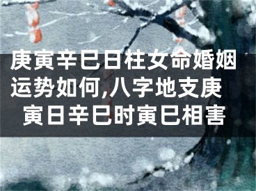 庚寅辛巳日柱女命婚姻运势如何,八字地支庚寅日辛巳时寅巳相害