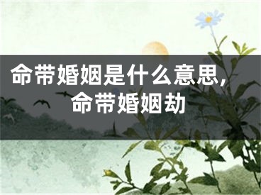 命带婚姻是什么意思,命带婚姻劫