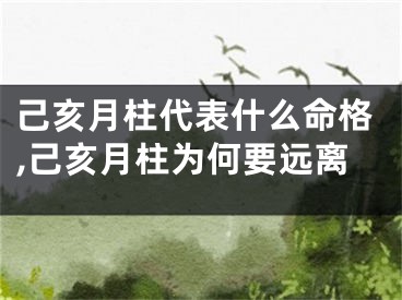 己亥月柱代表什么命格,己亥月柱为何要远离