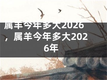 属羊今年多大2026,属羊今年多大2026年