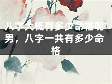 八字大概有多少命格呢男，八字一共有多少命格