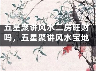 五星聚讲风水二房旺财吗，五星聚讲风水宝地