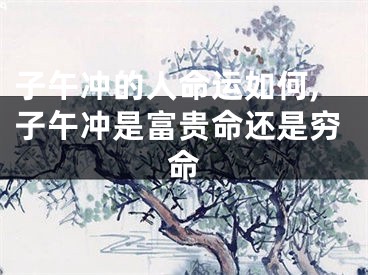 子午冲的人命运如何,子午冲是富贵命还是穷命
