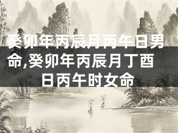 癸卯年丙辰月丙午日男命,癸卯年丙辰月丁酉日丙午时女命