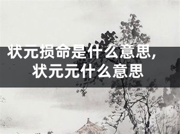 状元损命是什么意思,状元元什么意思