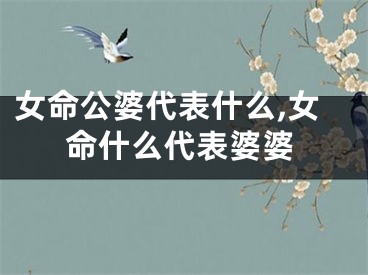 女命公婆代表什么,女命什么代表婆婆