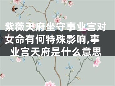 紫薇天府坐守事业宫对女命有何特殊影响,事业宫天府是什么意思