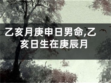 乙亥月庚申日男命,乙亥日生在庚辰月