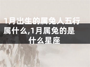 1月出生的属兔人五行属什么,1月属兔的是什么星座