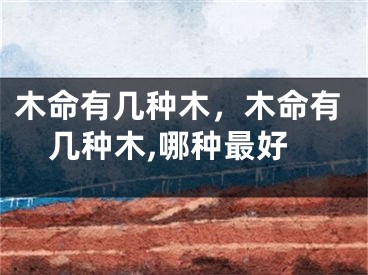 木命有几种木，木命有几种木,哪种最好