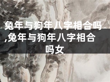 兔年与狗年八字相合吗,兔年与狗年八字相合吗女 