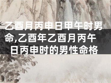 乙酉月丙申日甲午时男命,乙酉年乙酉月丙午日丙申时的男性命格 