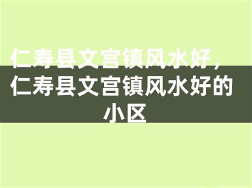 仁寿县文宫镇风水好,仁寿县文宫镇风水好的小区