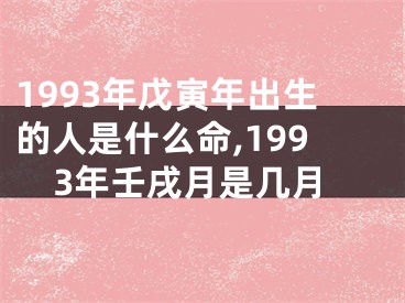 1993年戊寅年出生的人是什么命,1993年壬戌月是几月