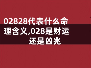 02828代表什么命理含义,028是财运还是凶兆