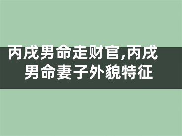 丙戌男命走财官,丙戌男命妻子外貌特征
