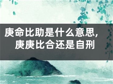 庚命比助是什么意思,庚庚比合还是自刑