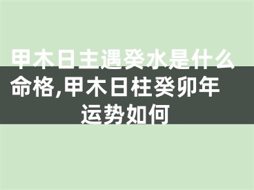 甲木日主遇癸水是什么命格,甲木日柱癸卯年运势如何