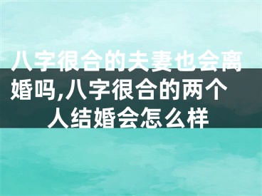 八字很合的夫妻也会离婚吗,八字很合的两个人结婚会怎么样