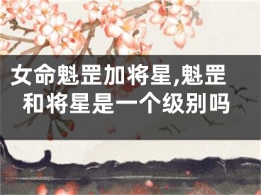 女命魁罡加将星,魁罡和将星是一个级别吗
