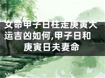 女命甲子日柱走庚寅大运吉凶如何,甲子日和庚寅日夫妻命