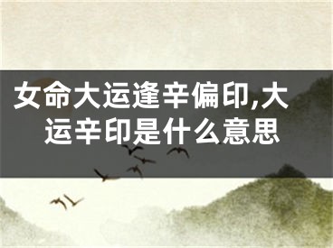 女命大运逢辛偏印,大运辛印是什么意思