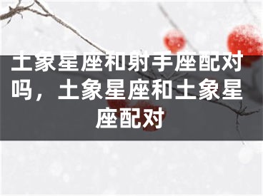 土象星座和射手座配对吗，土象星座和土象星座配对