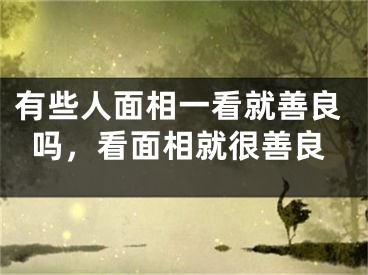 有些人面相一看就善良吗，看面相就很善良