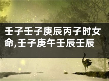 壬子壬子庚辰丙子时女命,壬子庚午壬辰壬辰