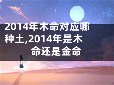 2014年木命对应哪种土,2014年是木命还是金命