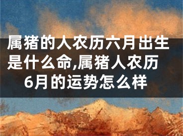 属猪的人农历六月出生是什么命,属猪人农历6月的运势怎么样