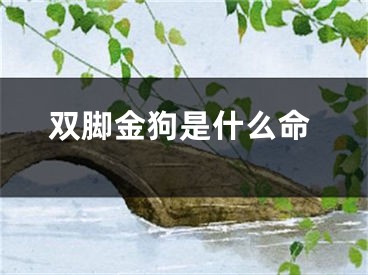 双脚金狗是什么命