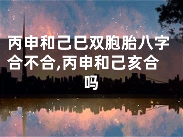丙申和己巳双胞胎八字合不合,丙申和己亥合吗