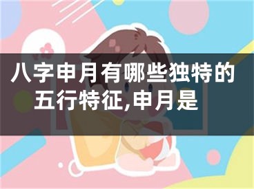 八字申月有哪些独特的五行特征,申月是