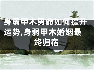 身弱甲木男命如何提升运势,身弱甲木婚姻最终归宿
