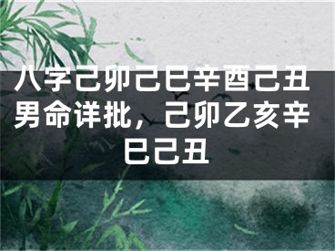 八字己卯己巳辛酉己丑男命详批,己卯乙亥辛巳己丑