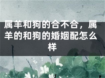 属羊和狗的合不合，属羊的和狗的婚姻配怎么样