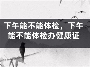 下午能不能体检,下午能不能体检办健康证