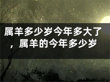 属羊多少岁今年多大了,属羊的今年多少岁