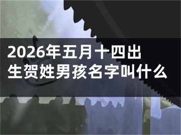 2026年五月十四出生贺姓男孩名字叫什么