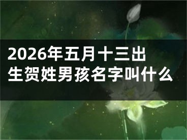2026年五月十三出生贺姓男孩名字叫什么