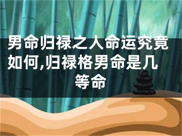 男命归禄之人命运究竟如何,归禄格男命是几等命