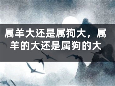 属羊大还是属狗大，属羊的大还是属狗的大
