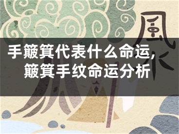 手簸箕代表什么命运,簸箕手纹命运分析