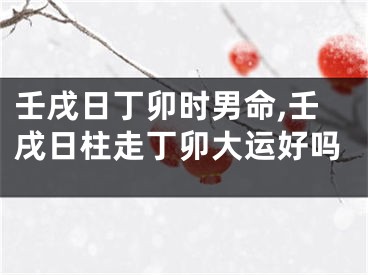 壬戌日丁卯时男命,壬戌日柱走丁卯大运好吗