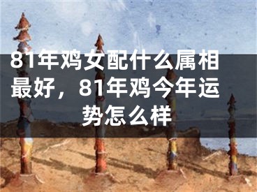 81年鸡女配什么属相最好,81年鸡今年运势怎么样