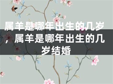属羊是哪年出生的几岁，属羊是哪年出生的几岁结婚